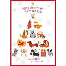 JXC1758 From the Dog Christmas Card 50 SE30453