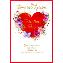 JVC0265 Someone Special Female Trad 50 Valentines Day Cards SE30838