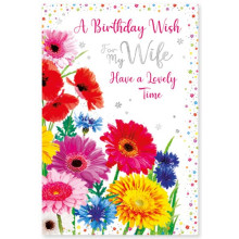 Wife Birthday Trad C50 Card SE31181