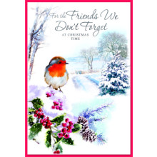 JXC2178 Friends We Don't Forget Robins C50 Christmas Card SE31306
