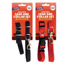 Small & Medium Dog Lead & Collar 2 Pack