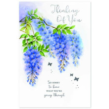 Thinking of You C50 Card SE31623