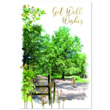 Get Well Male Trad C50 Card SE31793