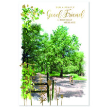 Good Friend Male Trad C50 Card SE31793