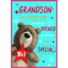Grandson Cute C50 Card SE31800