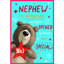 Nephew Cute C50 Card SE31800