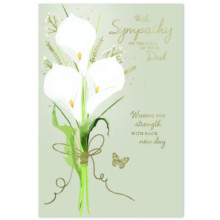 Loss of Dad C50 Card SE31915