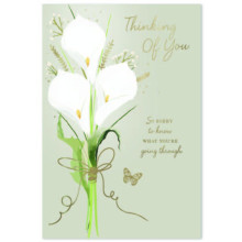 Thinking of You C50 Card SE31915