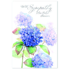 Sympathy C50 Card SE31916