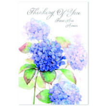 Thinking of You C50 Card SE31916