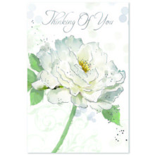 Thinking of You C50 Card SE31917