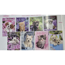 Wags & Whiskers Birthday Assortment C50 Card SE31997