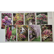 In Garden Blank Assortment C50 Card SE31998