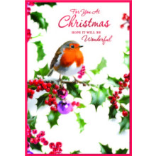 JXC2339 Open Robin C50 Christmas Card SE32141
