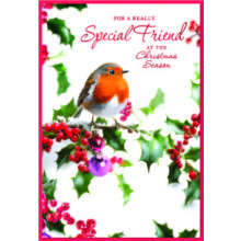 JXC2880 Special Friend Robin C50 Christmas Card SE32141
