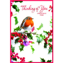 JXC3040 Thinking of You Robins C50 Christmas Card SE32141