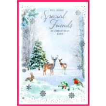 JXC2901 Special Friends Trad C50 Christmas Card SE32158