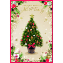 JXC3000 To All The Family Trad C50 Christmas Card SE32164