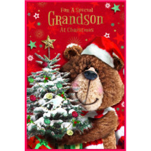 JXC2691 Grandson Cute C75 Christmas Card SE32185