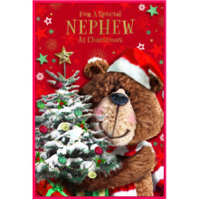 JXC2593 Nephew Cute C75 Christmas Card SE32185