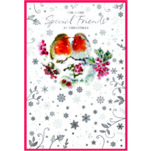 JXC2909 Special Friends Robins C50 Christmas Card SE32214