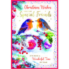 JXC2910 Special Friends Robin C50 Christmas Card SE32241