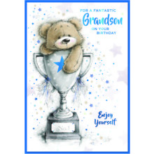Grandson Cute C50 Card SE32293