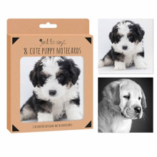 Pet Boxed Note Cards 8's 4097/48