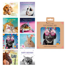 Cards Mixed Pet Birthday Boxed 8's 4493