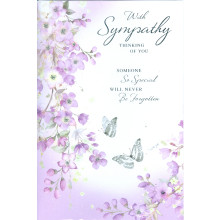 JER369 Sympathy