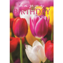 Open Female Trad Floral Tulips C50 Card JG0003
