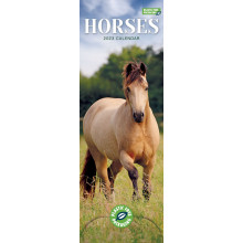 DE01105 Slim Calendar Horses