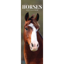 DD01105 Slim Calendar Horses