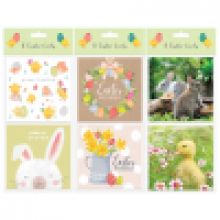 JEC0008 Open Cello Pack Square Easter Cards
