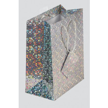 Gift Bag Traditional Holographic Medium Assorted