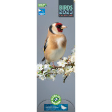 DE01101 Slim Calendar RSPB Birds