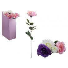 Luxury Rose Assorted Display