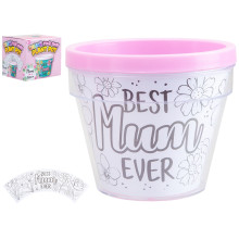 Mum Colour Your Own Pot Plant