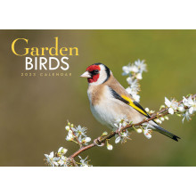 DE01005 A4 Calendar Garden Birds