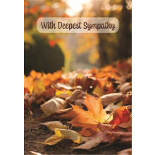 Sympathy Autumn Leaves C50 Card JG0103