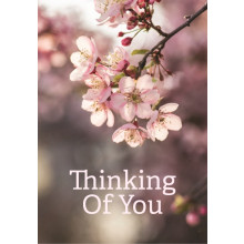Thinking Of You Floral Blossom C50 Card JG0105