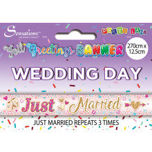Parry Banner 2.7M Just Married