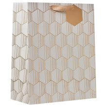 Gift Bag Linear Large