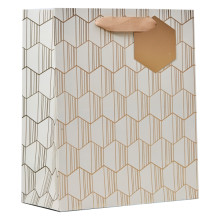 Gift Bag Linear Medium