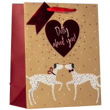 Gift Bag Dotty About You Large