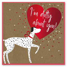 JVC0217 Square Dalmation Valentine's Day Cards ED-430-267