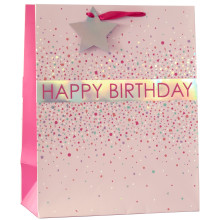 Gift Bag B/Day Confetti Pink Large