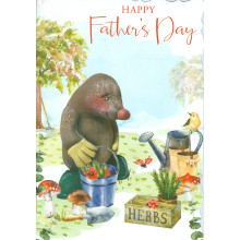 JFC0018 Open Cute C50 Father's Day Cards F3563-1