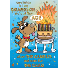 Grandson Humour Cards XY GL50026-2
