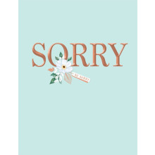 Sorry C50 Cards H90054
